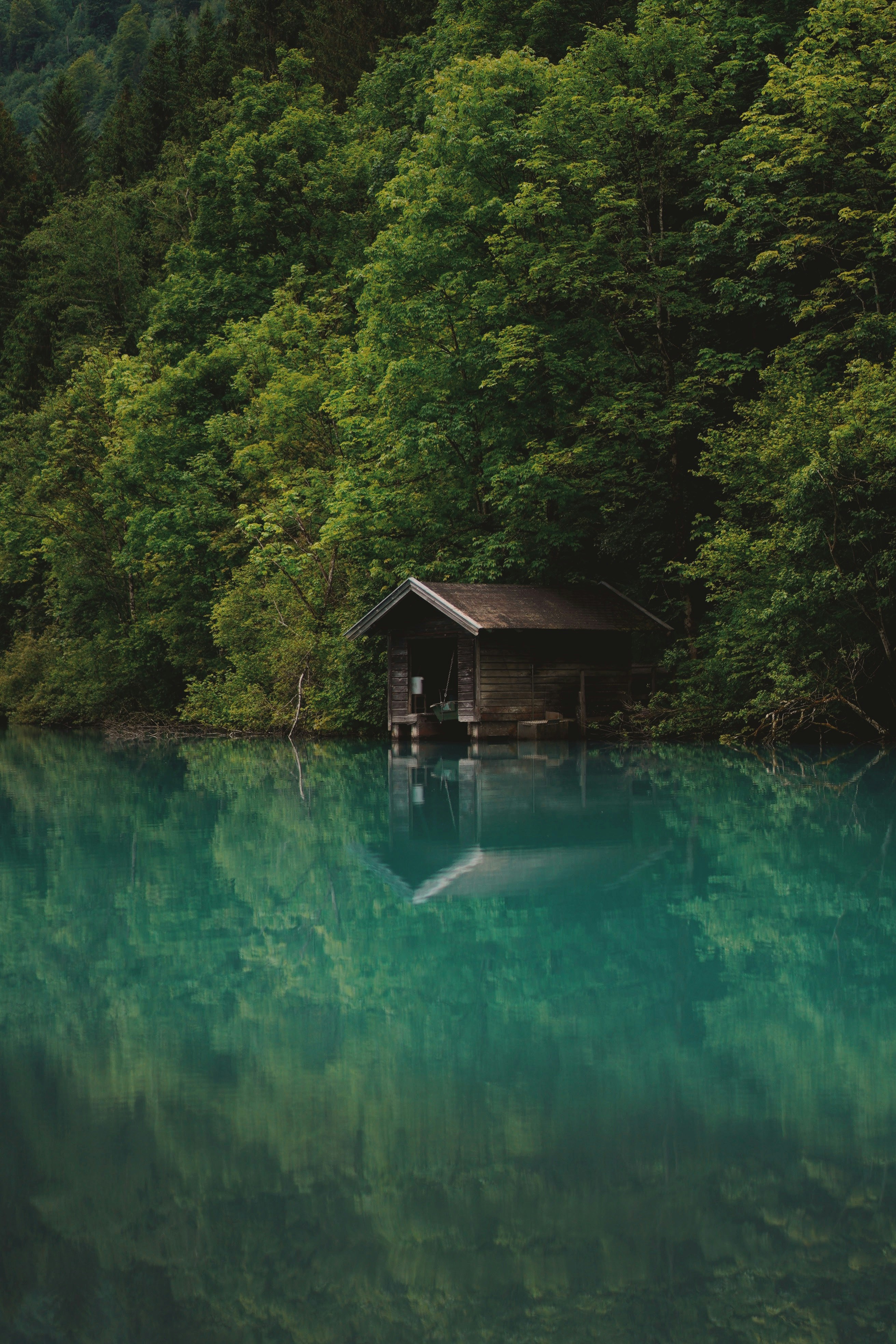 brown wooden house on green lake